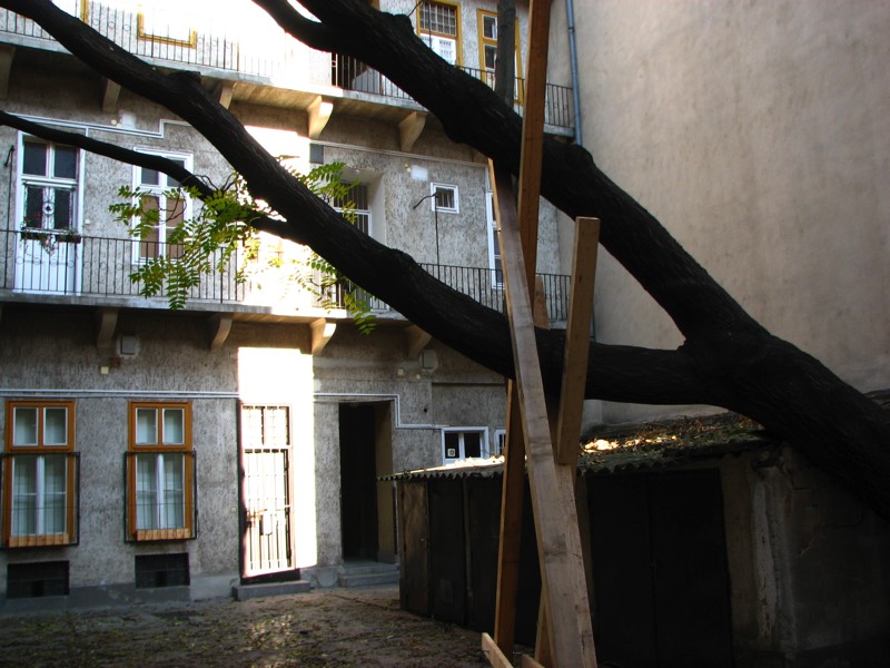 Stacks Image 1742